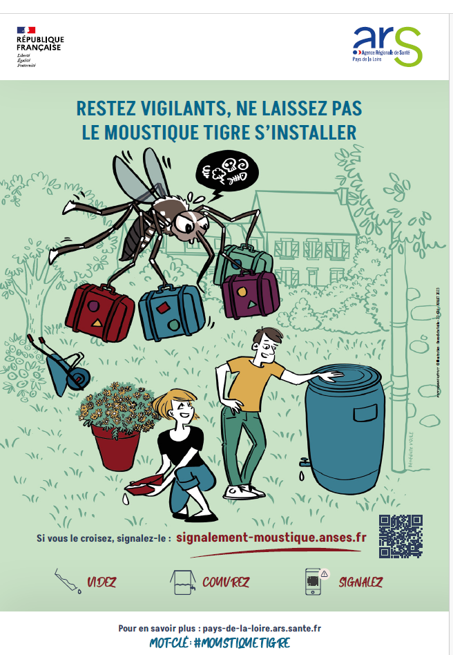 Prolifération du moustique Tigre